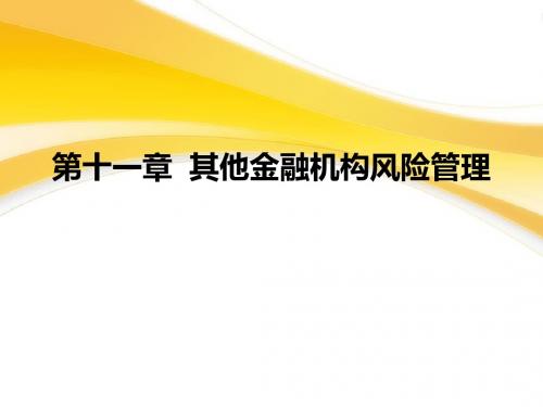 金融风险管理第十一章其他金融机构风险管理简明教程PPT课件