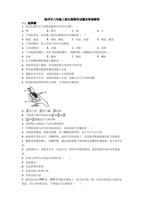 徐州市八年级上册生物期末试题及答案解答