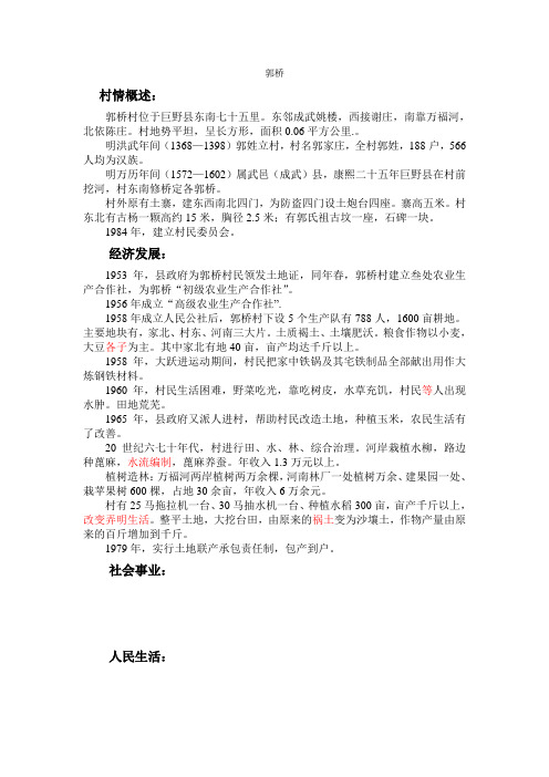 郭桥修改稿