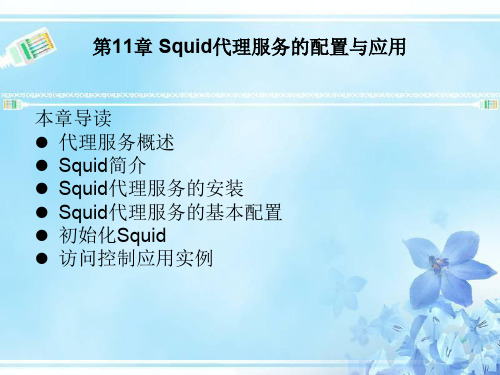 Squid代理服务的配置与应用(ppt 43页)