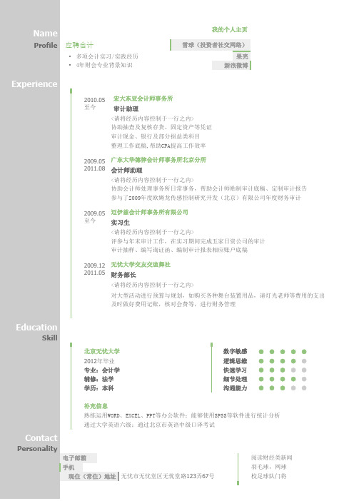 最美简历-会计类-财务会计个人简历模板(图形化创意简历模板)