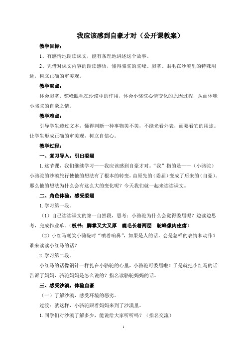 《我应该感到自豪才对》公开课教案