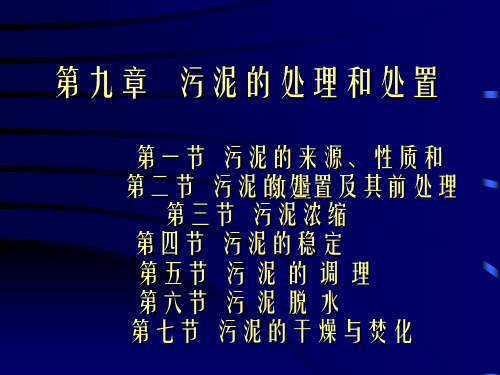 城市污水处理厂污泥的处理和处置