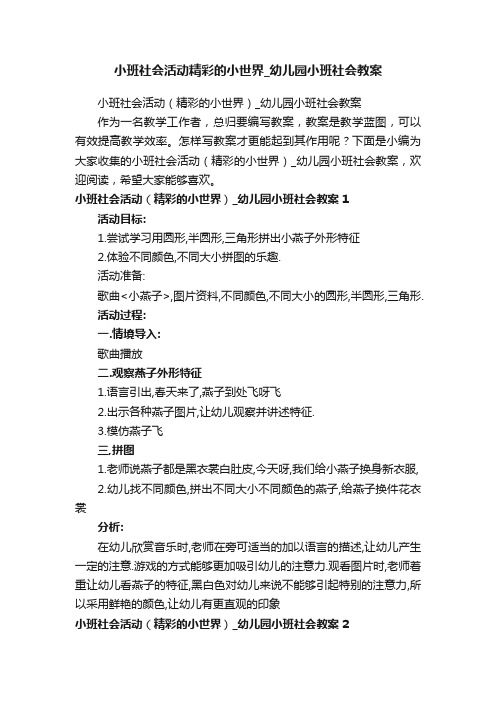 小班社会活动（精彩的小世界）_幼儿园小班社会教案