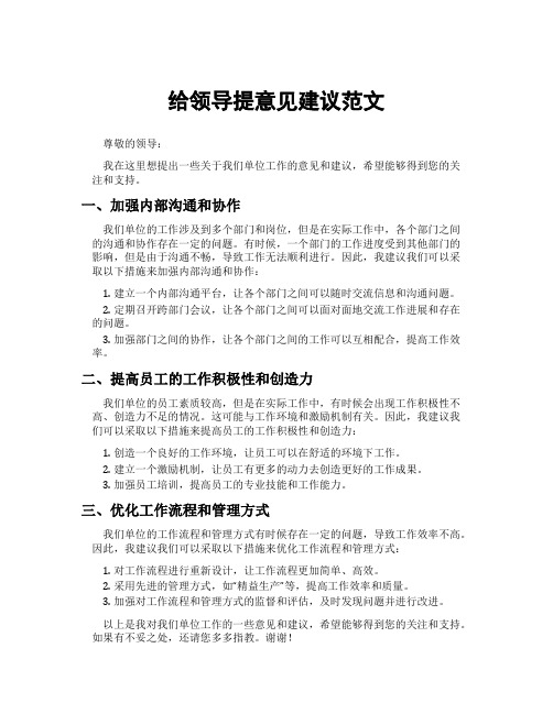 给领导提意见建议范文