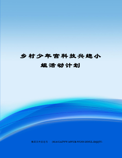 乡村少年宫科技兴趣小组活动计划图文稿