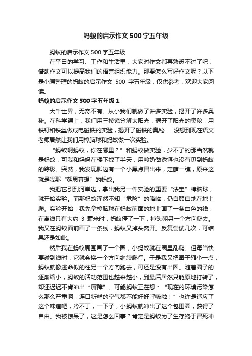 蚂蚁的启示作文500字五年级