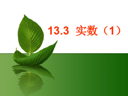 13.3 实数  优秀课件