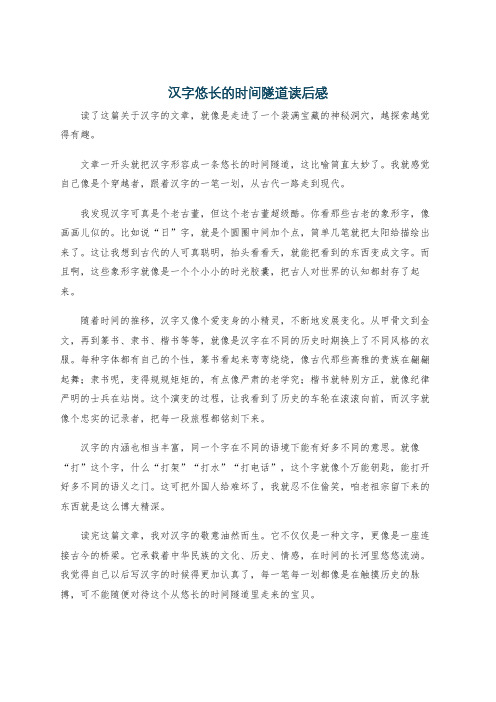 汉字悠长的时间隧道读后感