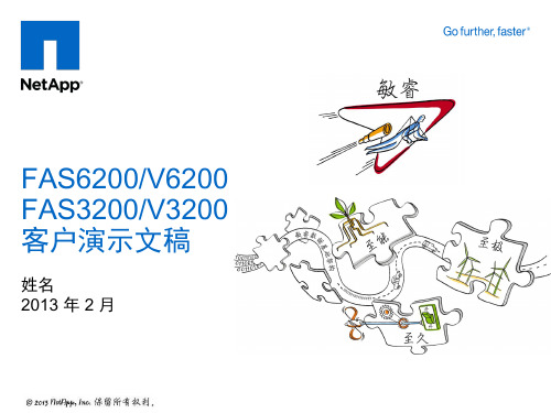 FAS6200-FAS3200-客户介绍