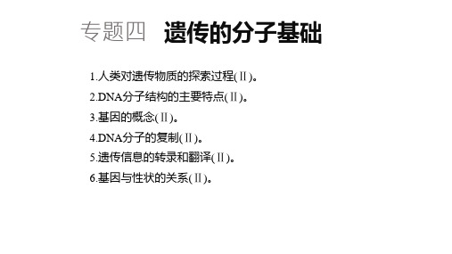 高考二轮复习资料-遗传的分子基础(16张PPT)