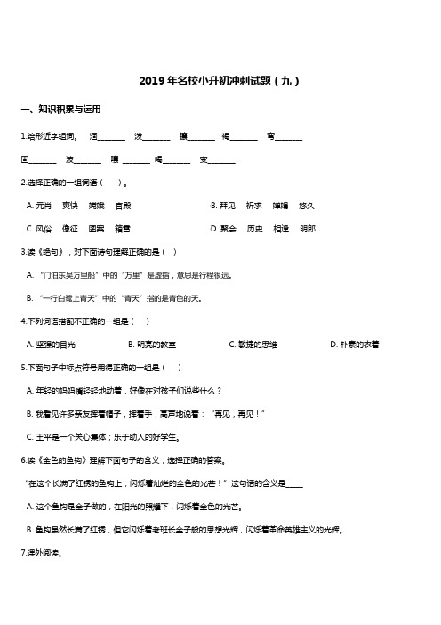 2019年名校小升初语文冲刺试题(9) 人教新课标 含答案