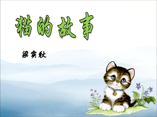 《猫的故事》PPT【优秀课件PPT】