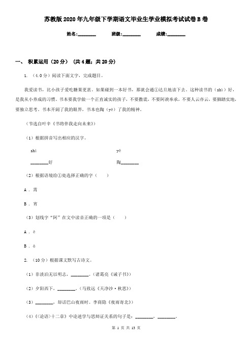 苏教版2020年九年级下学期语文毕业生学业模拟考试试卷B卷