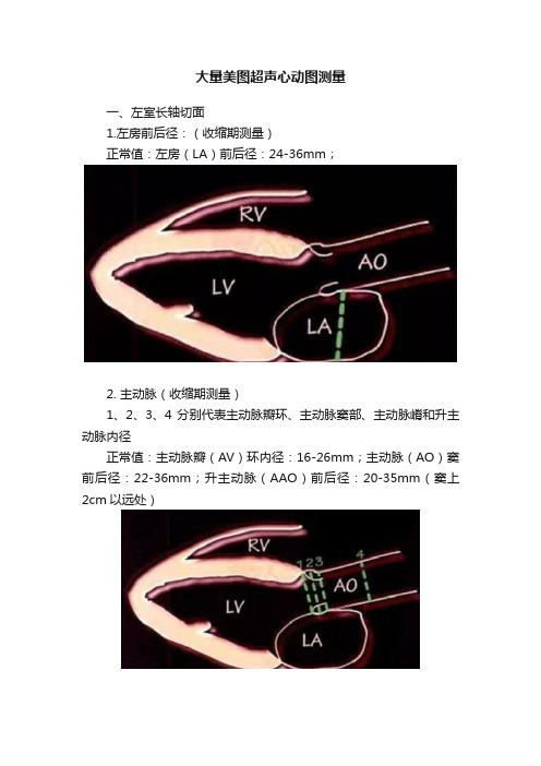 大量美图超声心动图测量