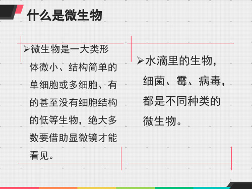 【精品】六年级上册科学课件-1.2 做酸奶｜苏教版 (共13张PPT) (1)