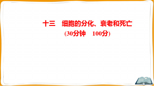 2022年人教版高中生物总复习第二部分考点培优训练 考点十三细胞的分化、衰老和死亡