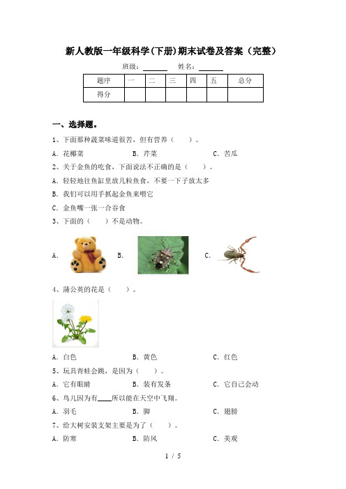 新人教版一年级科学(下册)期末试卷及答案(完整)