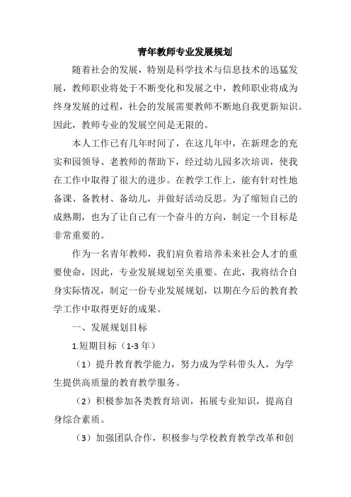 青年教师专业发展规划