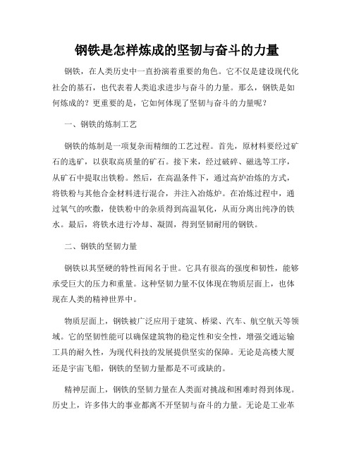 钢铁是怎样炼成的坚韧与奋斗的力量