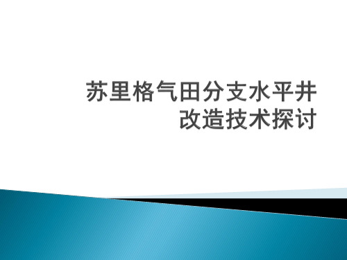 苏里格气田分支水平井技术