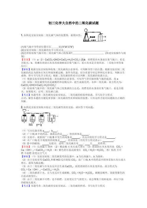 初三化学大自然中的二氧化碳试题
