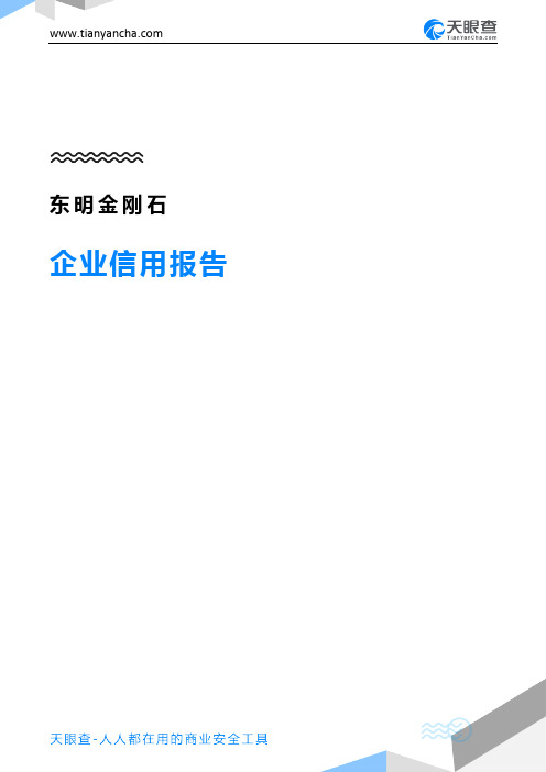 东明金刚石企业信用报告-天眼查