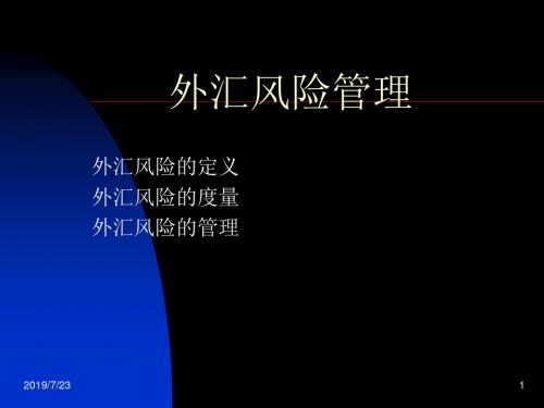 武汉大学金融工程学课件——外汇风险管理