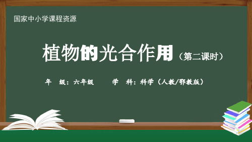 人教版六年级科学上册《植物的光合作用》精品课件(第二课时)