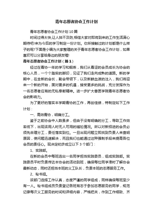 青年志愿者协会工作计划10篇