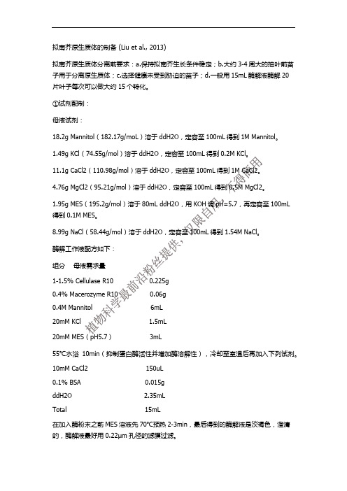 拟南芥原生质体制备