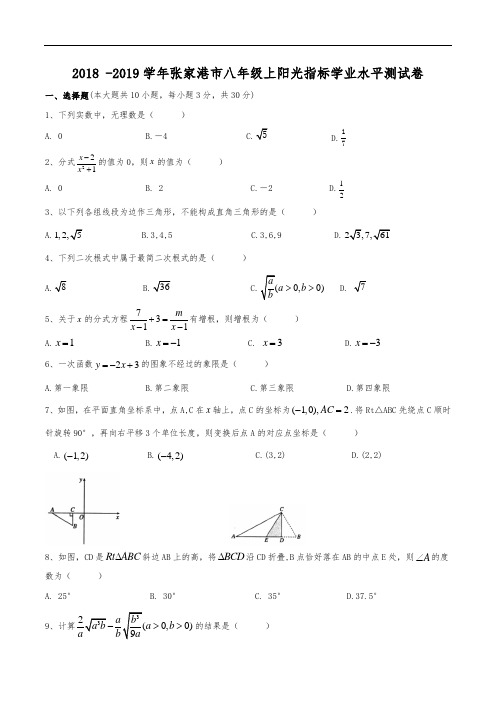 2018-2019学年苏州市张家港市八年级上数学阳光指标学业水平测试