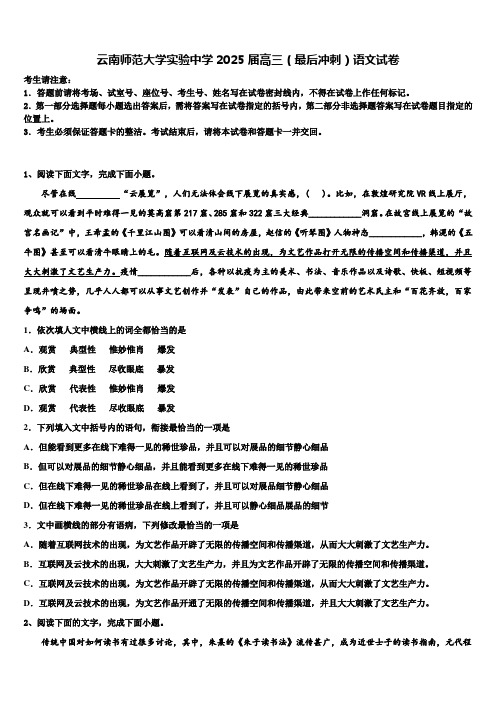 云南师范大学实验中学2025届高三(最后冲刺)语文试卷含解析