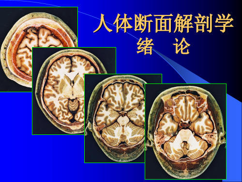 人体断面解剖学课件：00-断面解剖学绪论