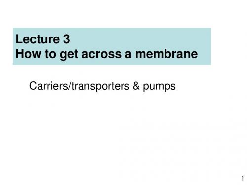 (英文)细胞生物学lecture3-生物膜的选择透过性