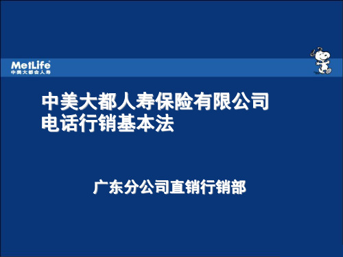 中美大都会基本法资料