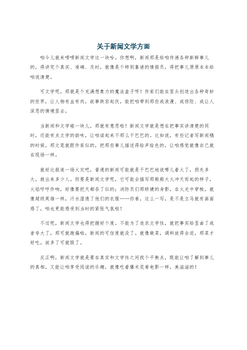 关于新闻文学方面