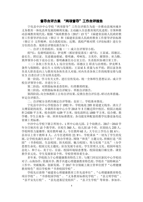 督导自评方案“两项督导”工作自评报告