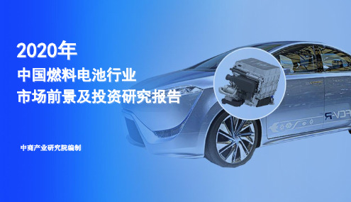 2020年中国燃料电池行业市场前景及投资研究报告