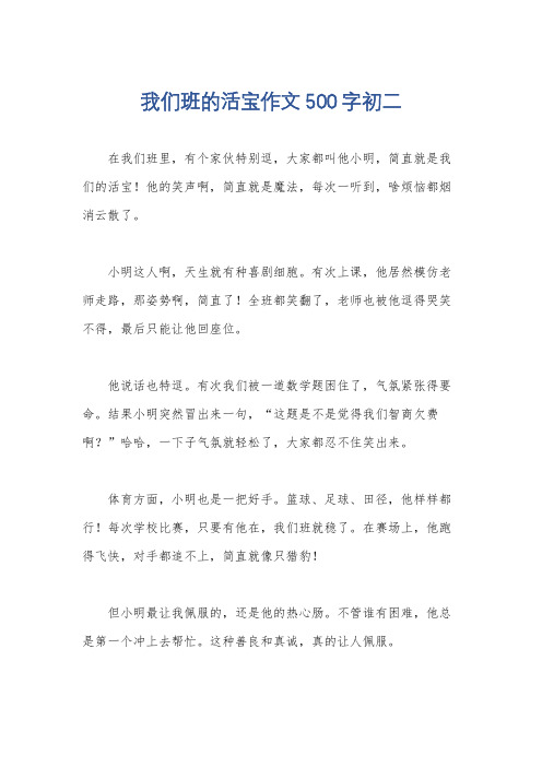 我们班的活宝作文500字初二