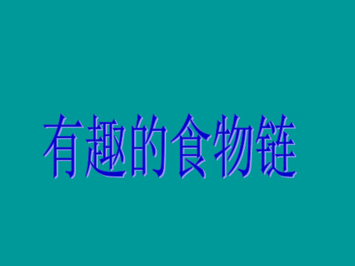 六年级下册科学课件《有趣的食物链》2｜人教版 (共15张PPT)