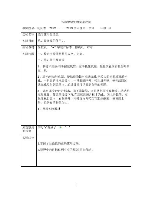 人教版七年级上册实验报告单