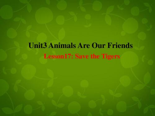 【最新名师设计】冀教初中英语八下《Lesson 17 Save the Tigers》PPT课件 (2).ppt