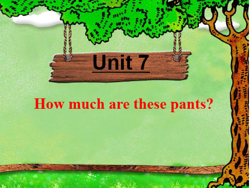 unit 7《how much are these pants》教学课件(人教新目标七年级上)ppt
