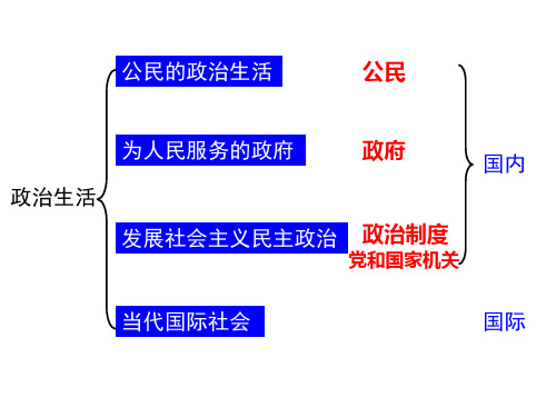 《公民的政治生活》复习课件