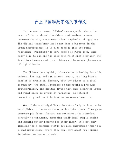 乡土中国和数字化关系作文