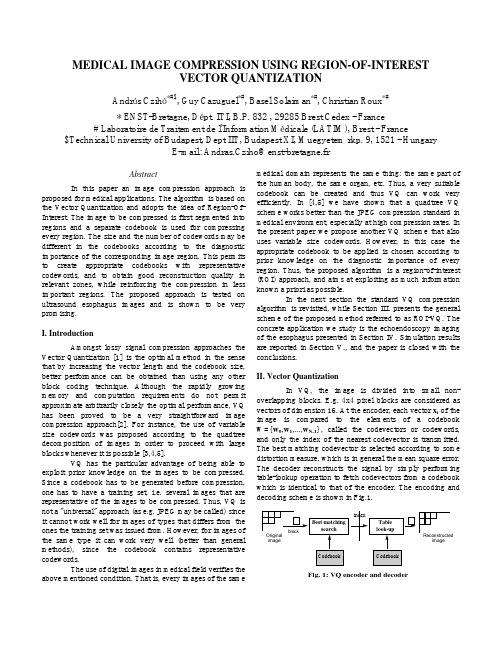 MEDICAL IMAGE COMPRESSION USING REGION-OF-INTEREST VECTOR QUANTIZATION