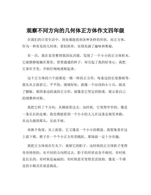 观察不同方向的几何体正方体作文四年级