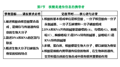 2022-2023学年 人教版   必修一 核酸是遗传信息的携带者 课件 (36张)