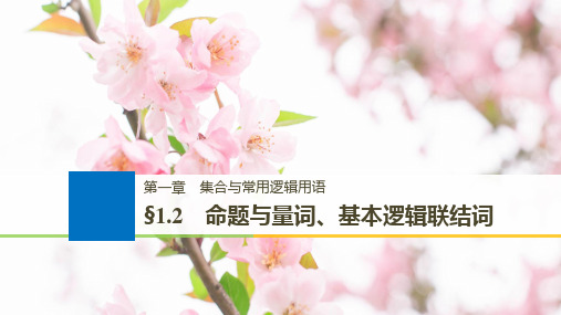 2019届高考大一轮复习备考资料之数学人教B版全国用课件第一章集合与常用逻辑用语1.2